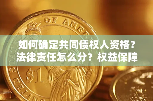 北京如何确定共同债权人资格？法律责任怎么分？权益保障技巧揭秘！