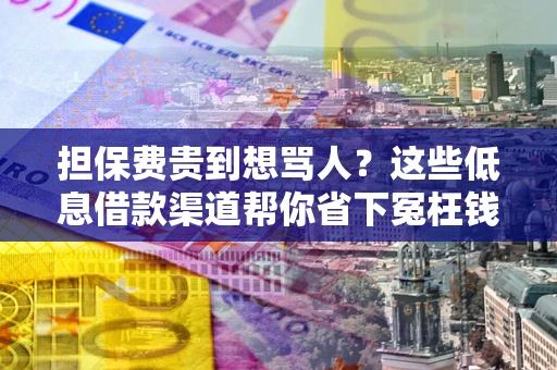 北京担保费贵到想骂人？这些低息借款渠道帮你省下冤枉钱