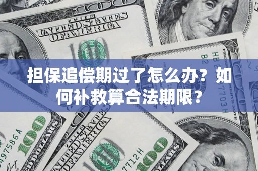 北京担保追偿期过了怎么办？如何补救算合法期限？