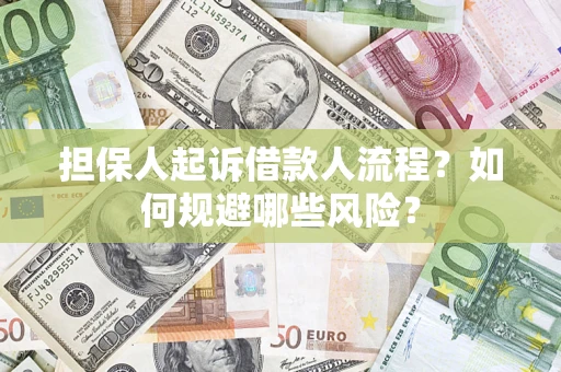 北京担保人起诉借款人流程？如何规避哪些风险？