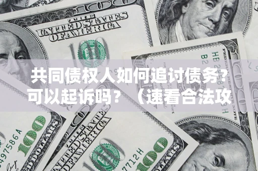 北京共同债权人如何追讨债务？可以起诉吗？（速看合法攻略）