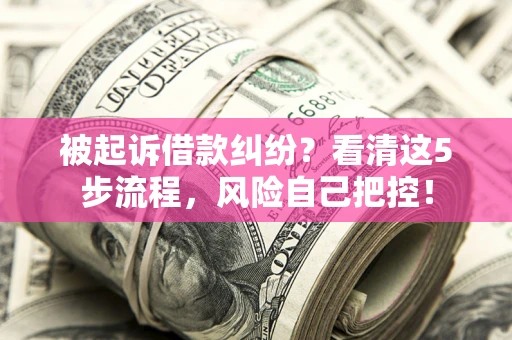 北京被起诉借款纠纷？看清这5步流程，风险自己把控！